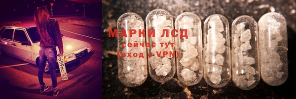 СК Медвежьегорск