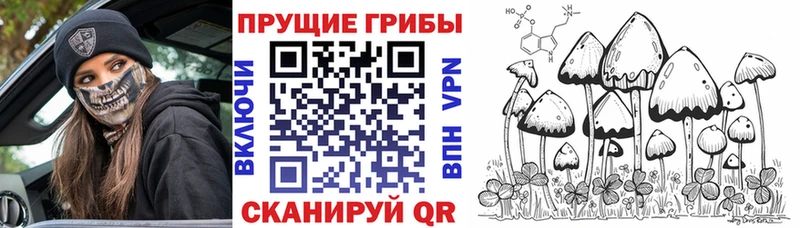Галлюциногенные грибы GOLDEN TEACHER  Партизанск 