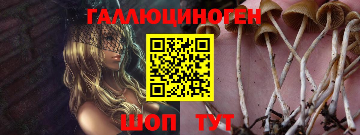 Партизанск  Галлюциногенные грибы Psilocybine cubensis  наркотики  Вход с VPN 